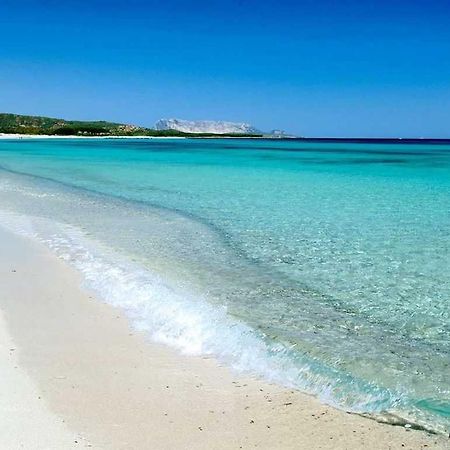 Villa Indipendente Al Mare Budoni Tanaunella Ngoại thất bức ảnh